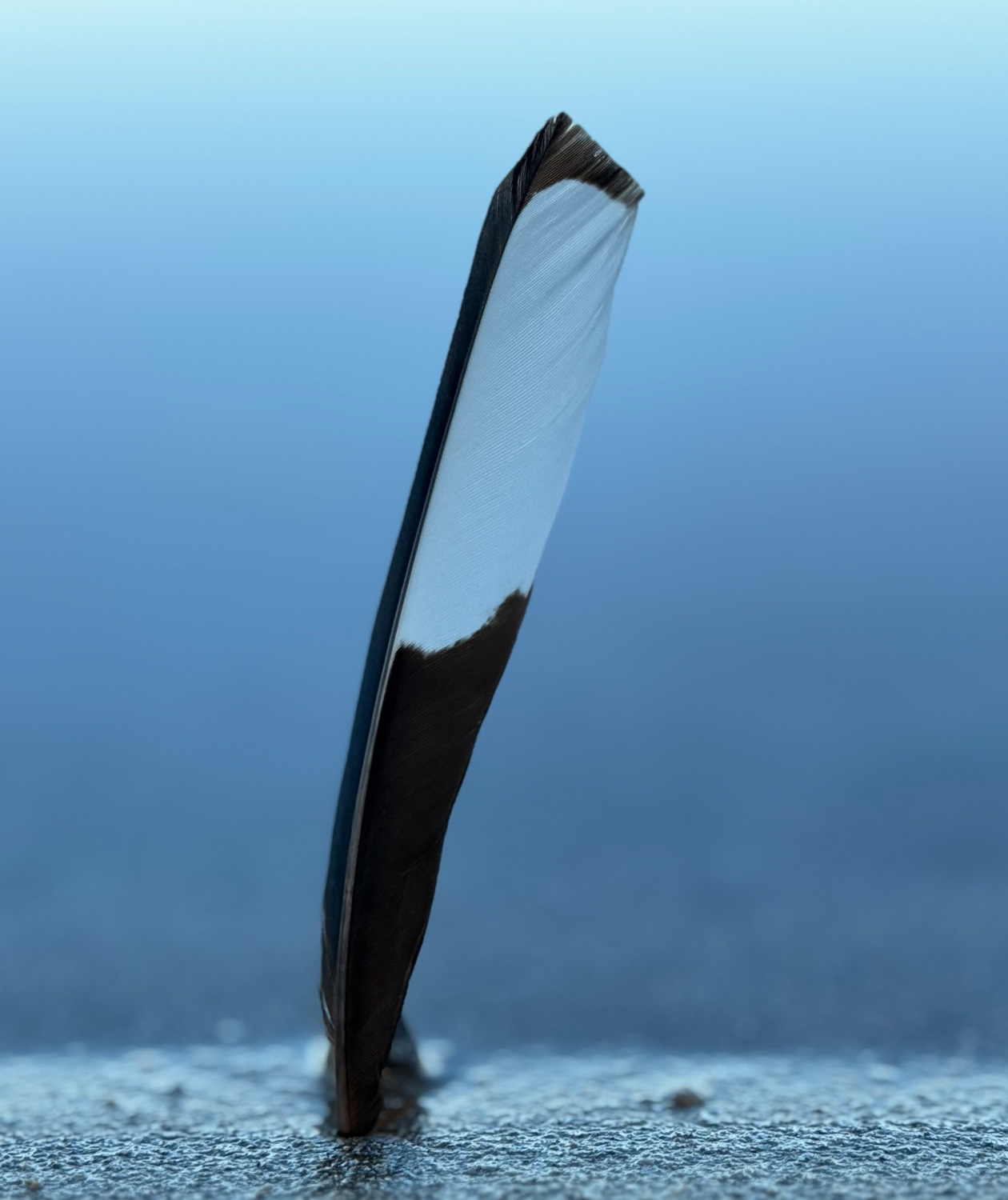 psicologia-para-depresion