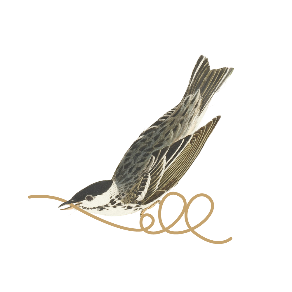 quiero-dejar-sentir-ansiedad