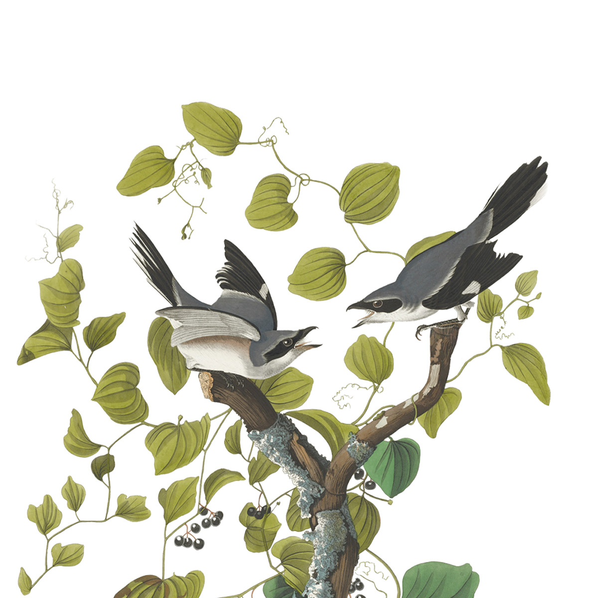 terapia-de-pareja-castellon